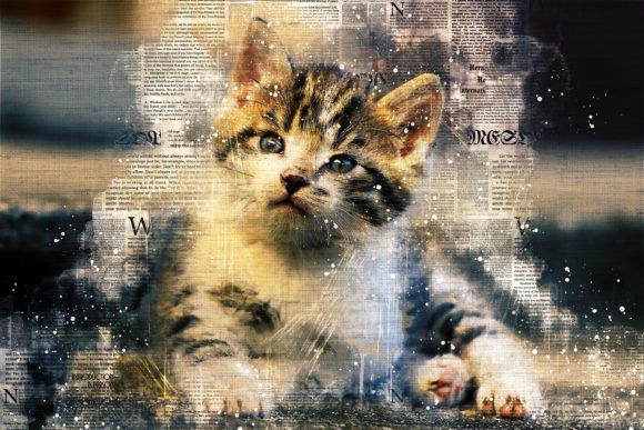 Download Printable Cat Graphics Pack# 11 - Cat graphics Collection