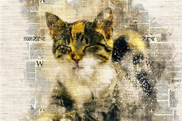 Download Printable Cat Graphics Pack# 01 - Premium Resources