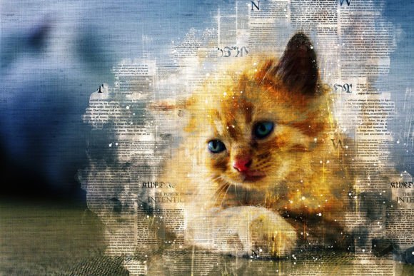 Download Printable Cat Graphics Pack# 07 - Premium Resources