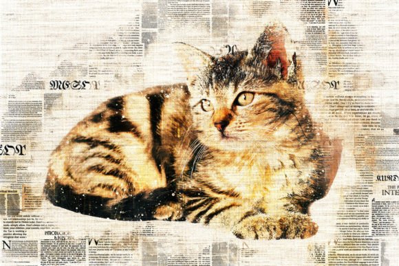 Download Printable Cat Graphics Pack# 04 - Premium Resources