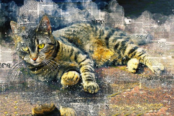 Download Printable Cat Graphics Pack# 05 - Premium Resources
